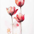 Delicate Red Tulips