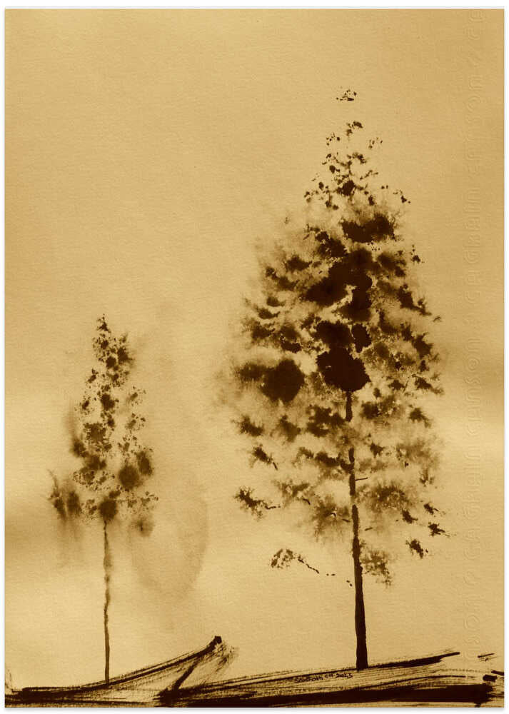 Two Trees Capturing Simplicity And Nature