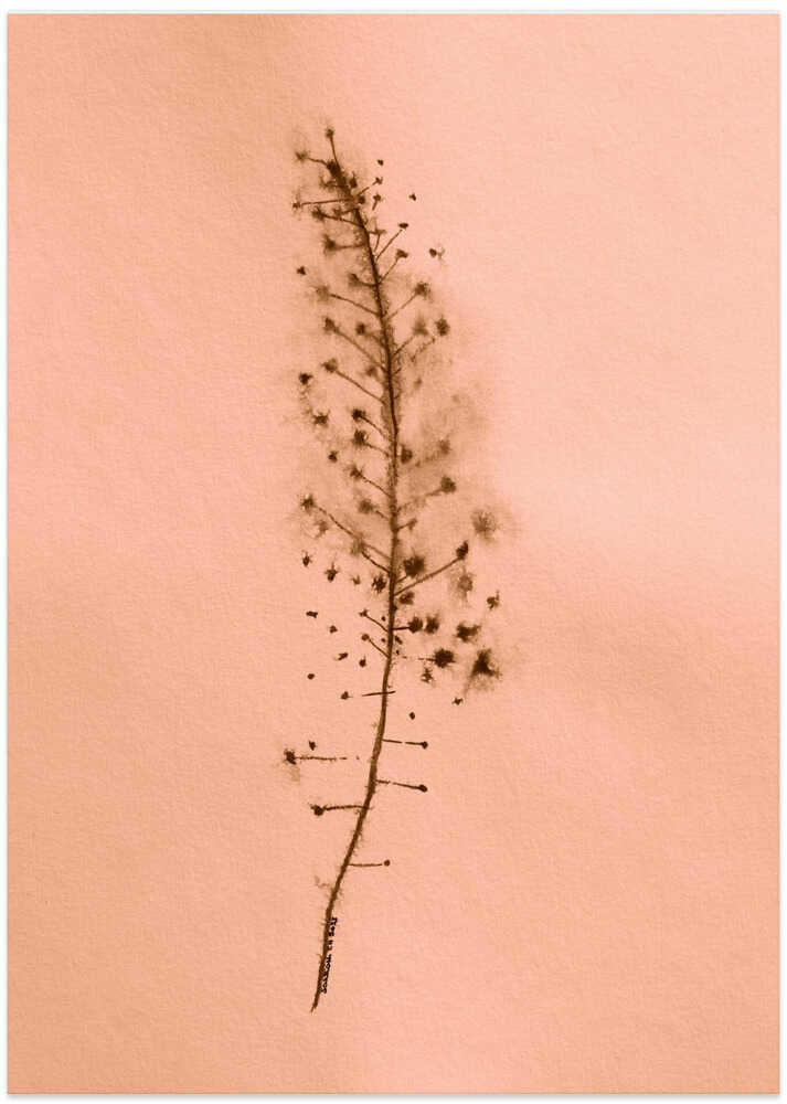 Ethereal Fern Whisper