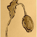 Golden Gourd Silhouette