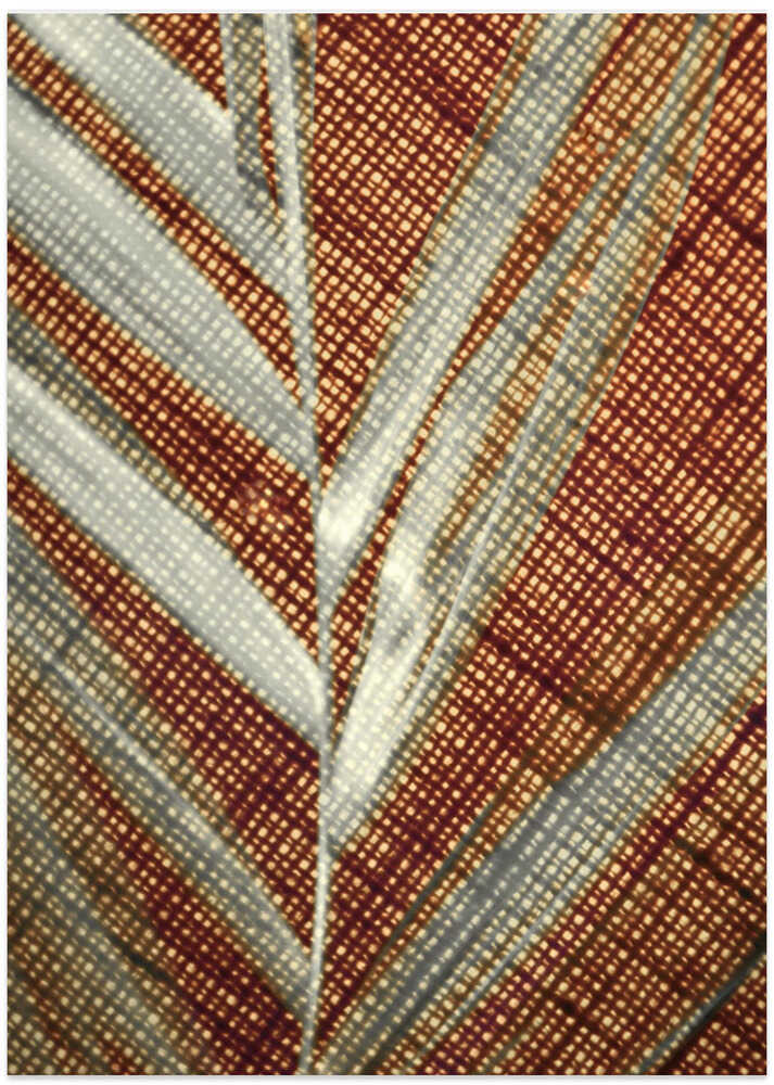 Woven Leaf Patterns