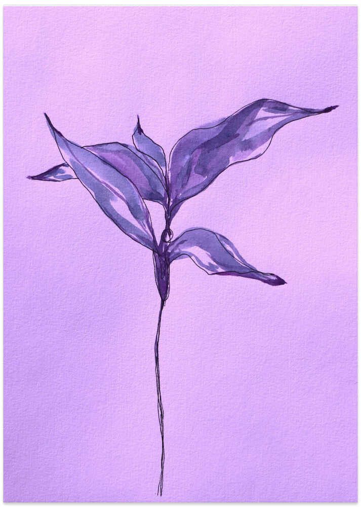 Purple Leaf Grace