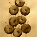 Golden Apples