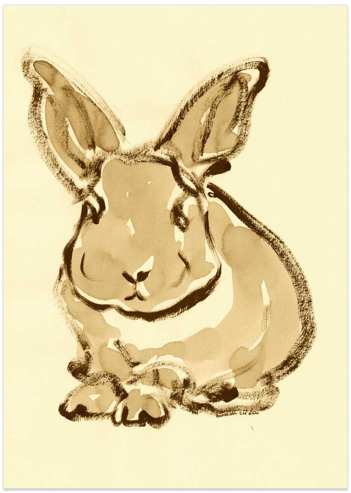 Gentle Bunny Sketch