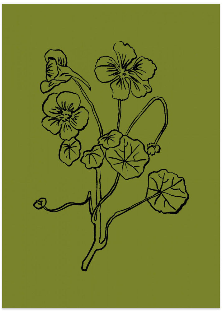 Delicate Lines of Nature