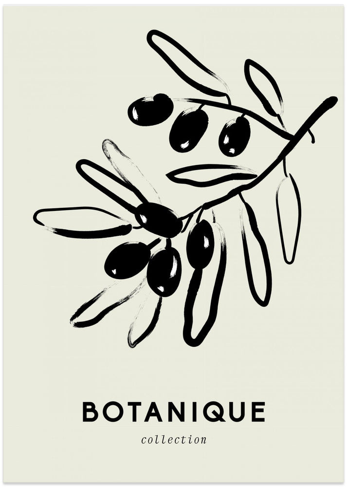 Olive Branch Elegance