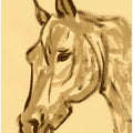 Majestic Equine Sketch