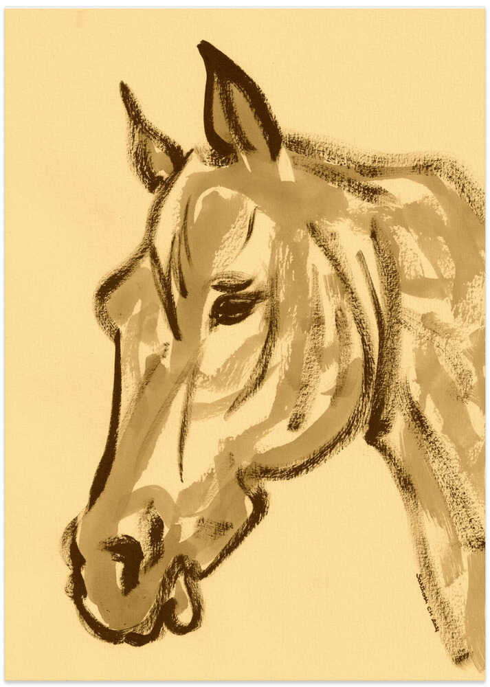 Majestic Equine Sketch