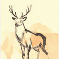 Majestic Stag Sketch