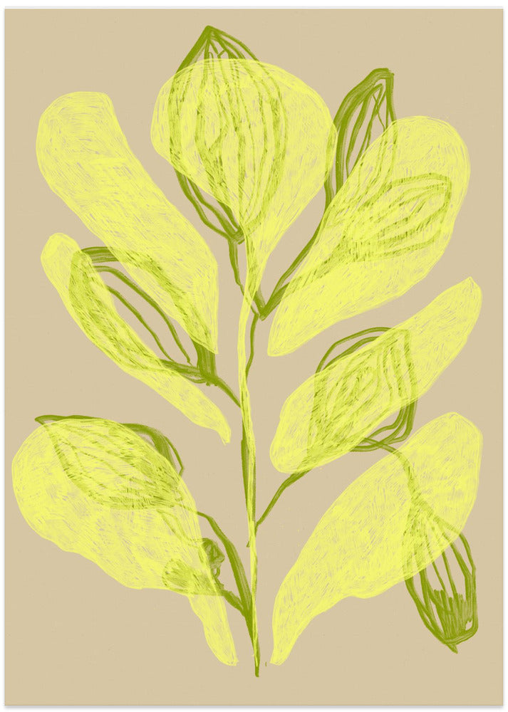 Luminous Leaves
