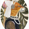 Fox Dressed In Renaissance Attire