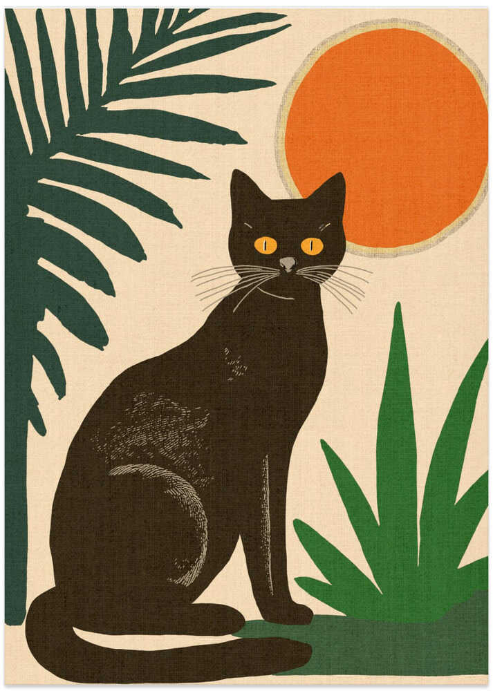 Midday Black Cat with Yellow Eyes