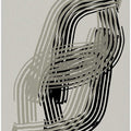 Abstract Curves in Grey and Black