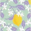 Lemon With Purple Leaves