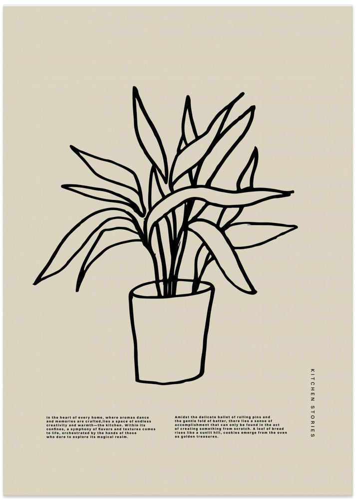 Potted Graceful Lines