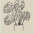 Monstera Love Line