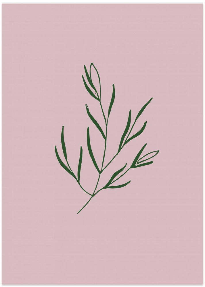 Minimal Leaf Elegance