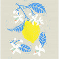 Lemon Fruit with Blue Leaves