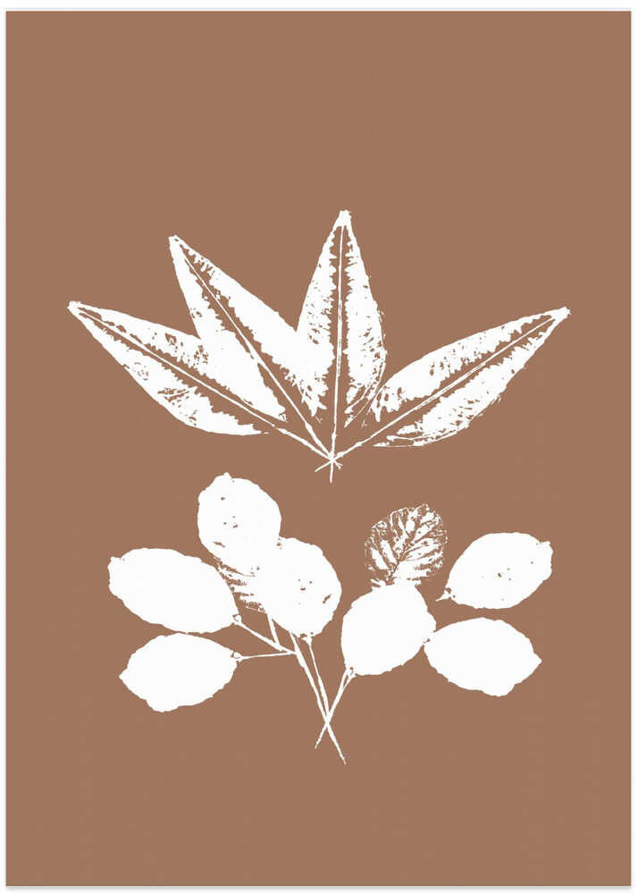 Botanical Silhouettes