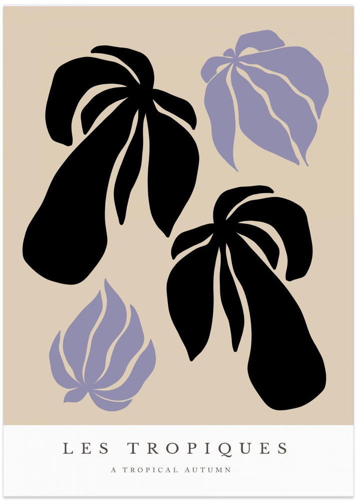 Tropical Silhouettes