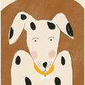 Dalmatian Daydream
