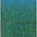 Blue Meadow