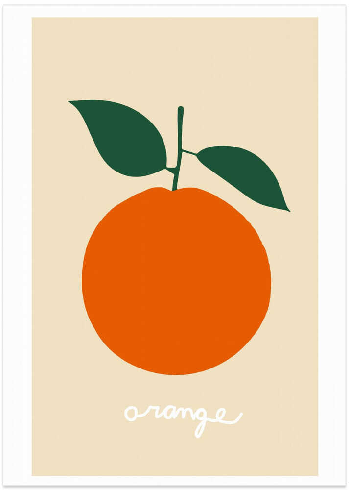 Stylized Orange With Dark Green Leaves