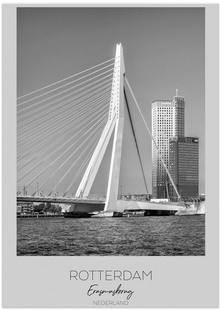 Elegant Erasmus View