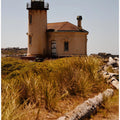 Lighthouse Surrounded By Wild Grass
