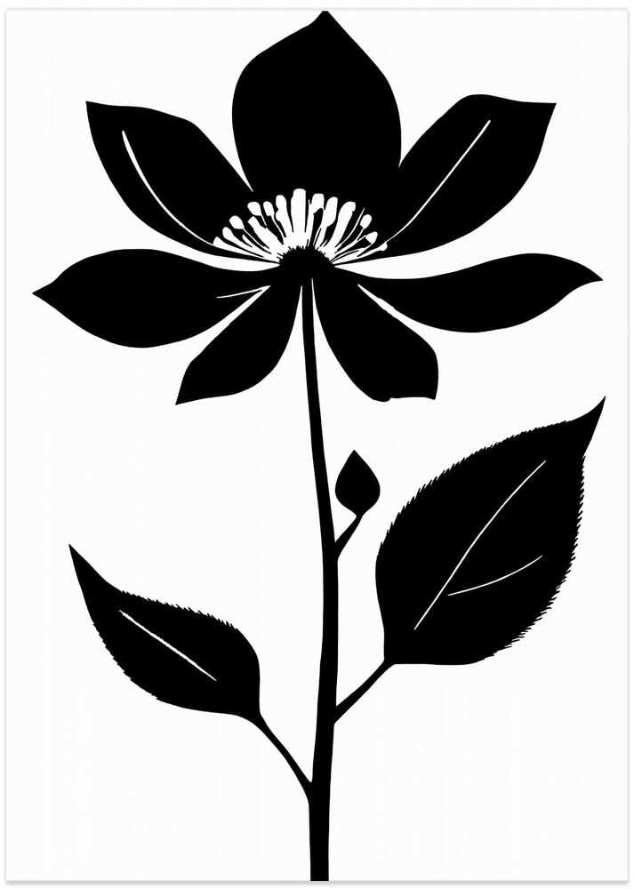 Midnight Bloom: Graphic Florals