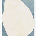 Illustration Of A Large Leaf