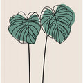 Monstera Leaves