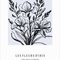 Iris Flowers In A Monochrome Illustration