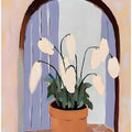 Snowdrops In a Pot