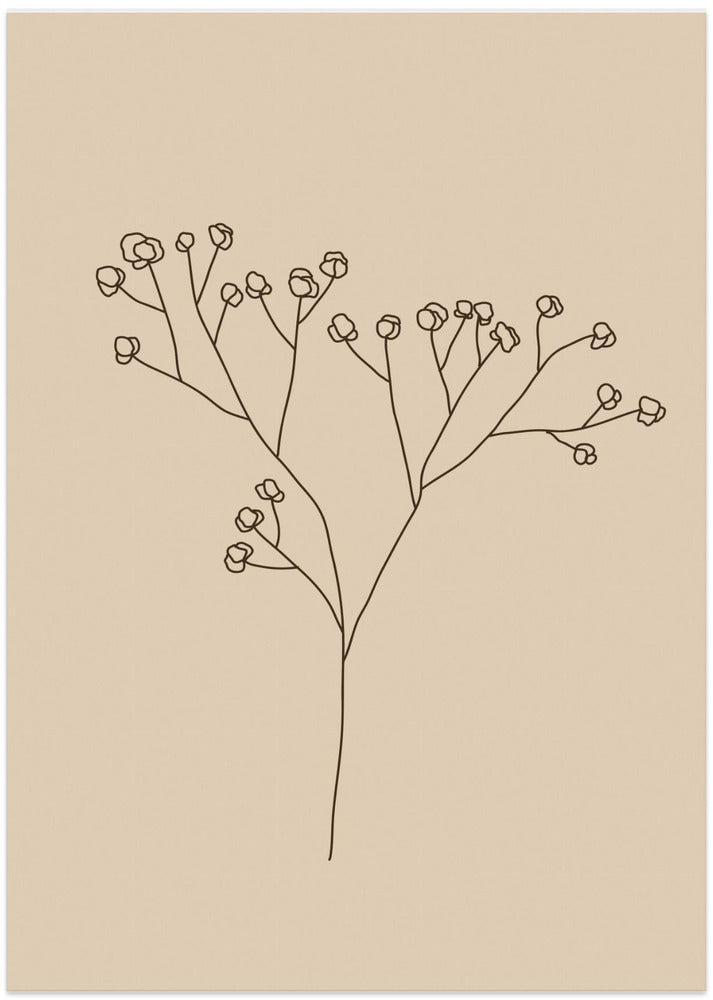 Delicate Line Blossoms