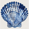 Indigo Seashell