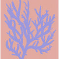 Coral Silhouette
