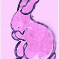 Pink Rabbit Bliss