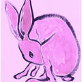 Pink Rabbit's Glow