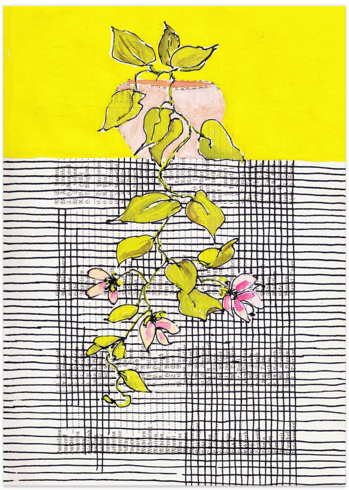 Mid century modern hanging plant in front of lines