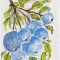 Branch with blue berries Nature study with watercolors