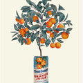 Orange Tree
