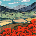 Poppies In The Valley