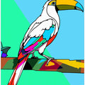 Toucan Tango 2