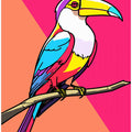 Toucan Tango 1