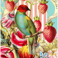 Strawberry Bird Striped