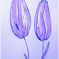 Lavender Tulip Duo
