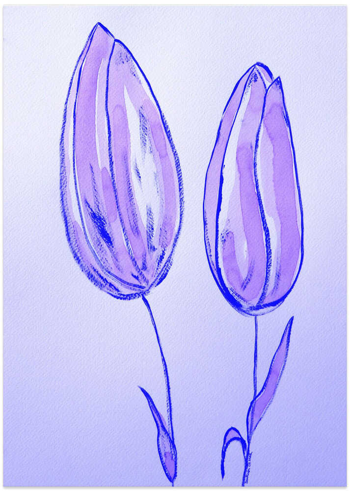 Lavender Tulip Duo