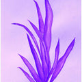 Purple Botanical Dream