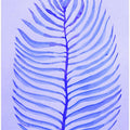 Purple Frond Essence